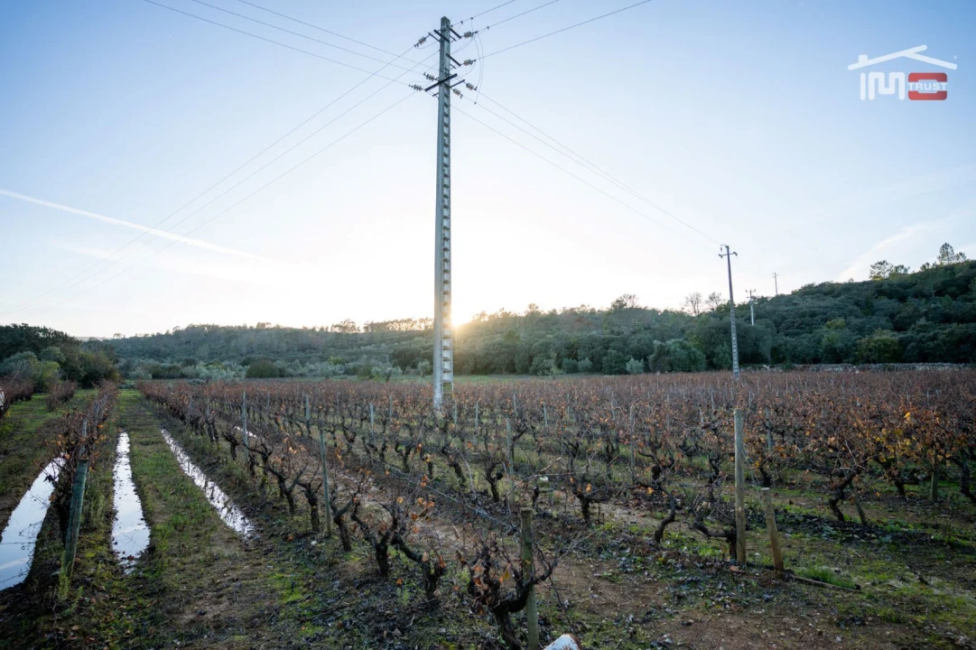Terreno Agricola ou Rústico para Arrendamento em Nossa Senhora das Misericordias Foto 11