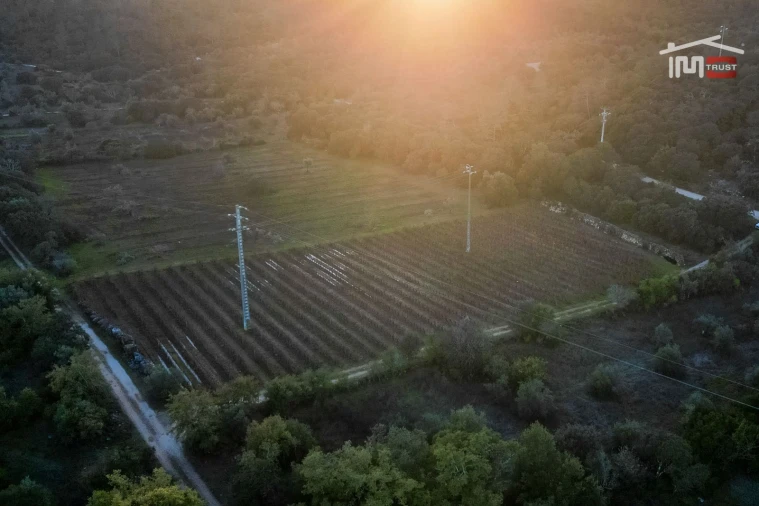 Terreno Agricola ou Rústico para Arrendamento em Nossa Senhora das Misericordias Foto 2