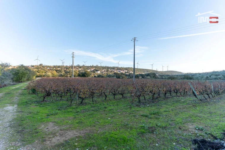 Terreno Agricola ou Rústico para Arrendamento em Nossa Senhora das Misericordias Foto 3