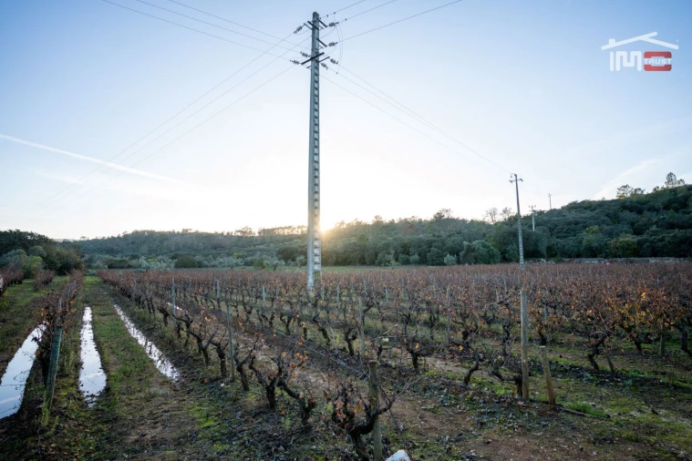 Terreno Agricola ou Rústico para Arrendamento em Nossa Senhora das Misericordias Foto 11