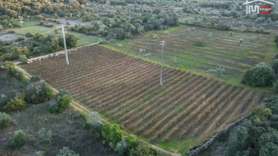 Terreno Agricola ou Rústico para Arrendamento em Nossa Senhora das Misericordias