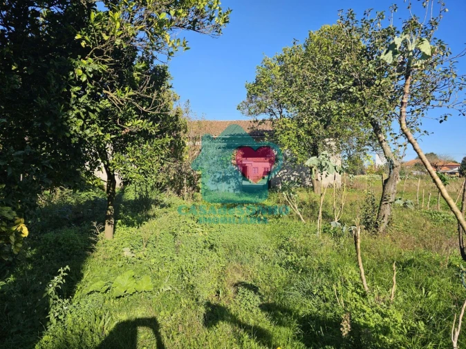 Moradia T3 para Venda em Alquerubim Foto 30