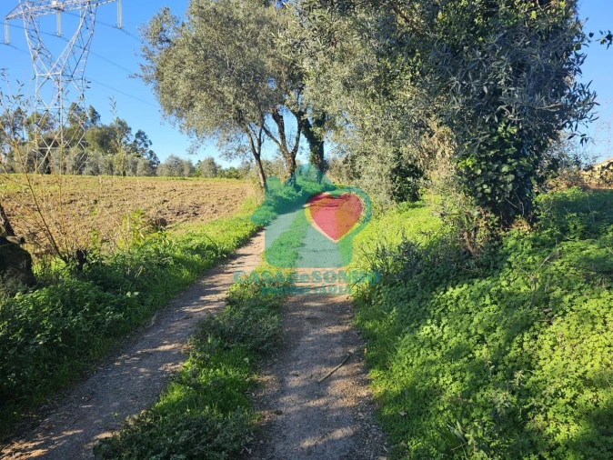 Moradia T3 para Venda em Alquerubim Foto 29