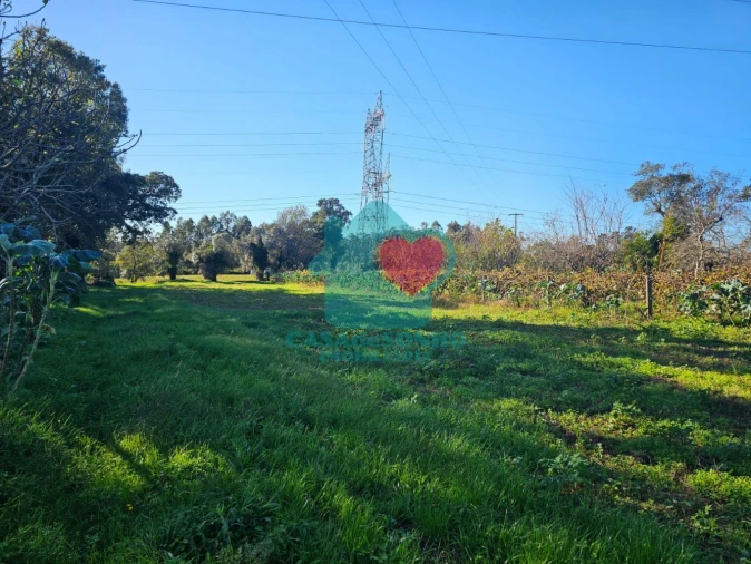 Moradia T3 para Venda em Alquerubim Foto 31