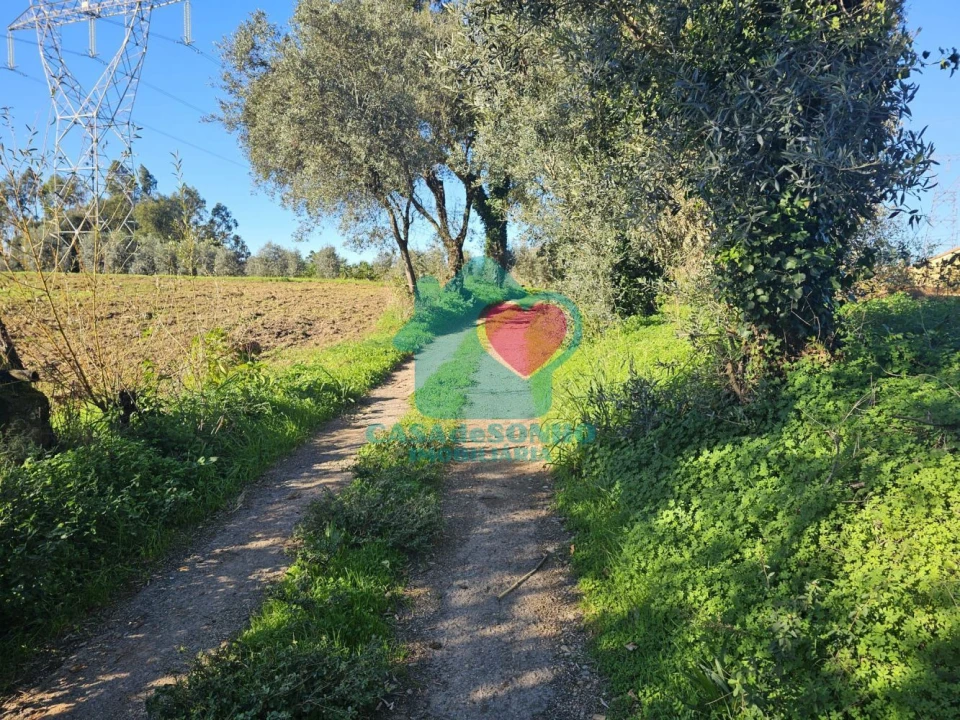 Moradia T3 para Venda em Alquerubim Foto 29