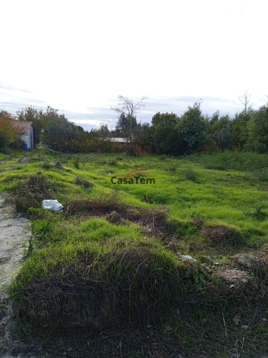 Terreno para Venda em Santar e Moreira Foto 2