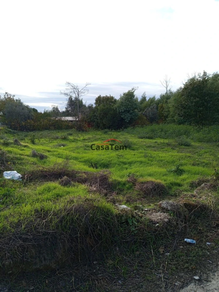 Terreno para Venda em Santar e Moreira
