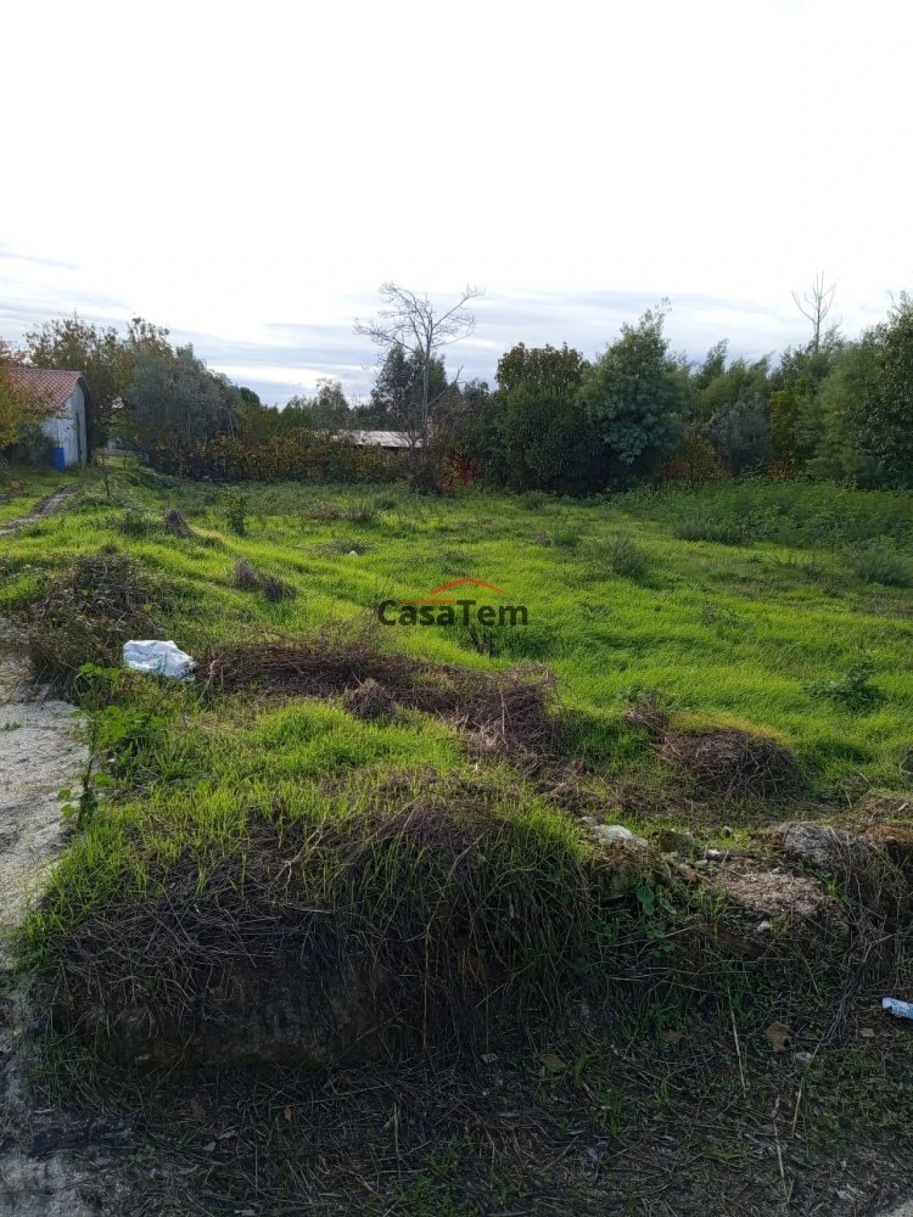 Terreno para Venda em Santar e Moreira Foto 5