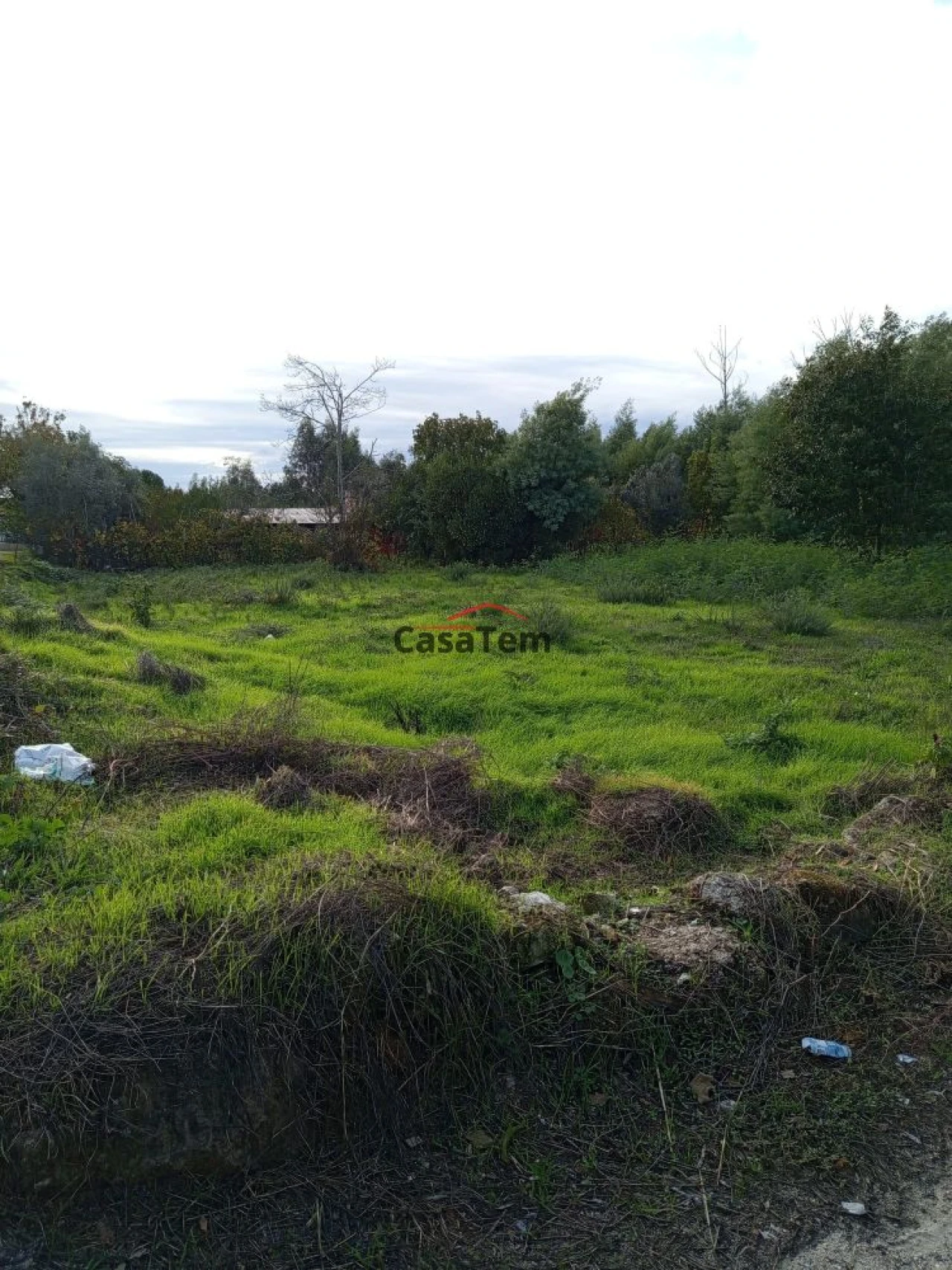 Terreno para Venda em Santar e Moreira Foto 1
