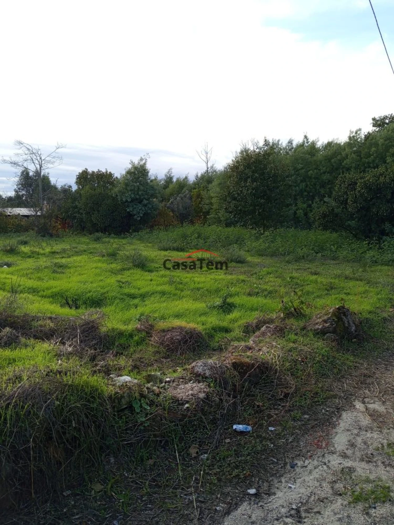 Terreno para Venda em Santar e Moreira Foto 4
