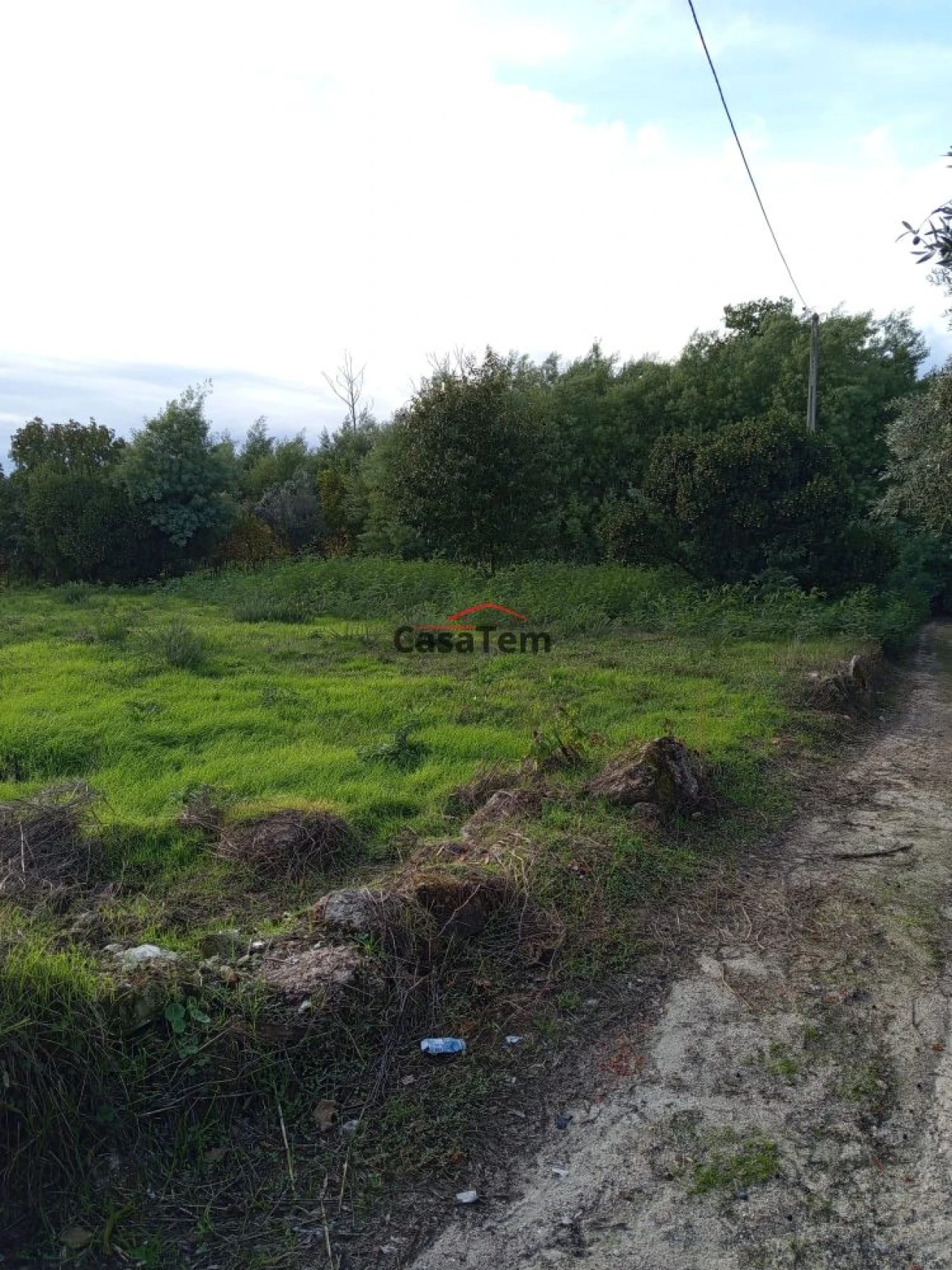 Terreno para Venda em Santar e Moreira Foto 3