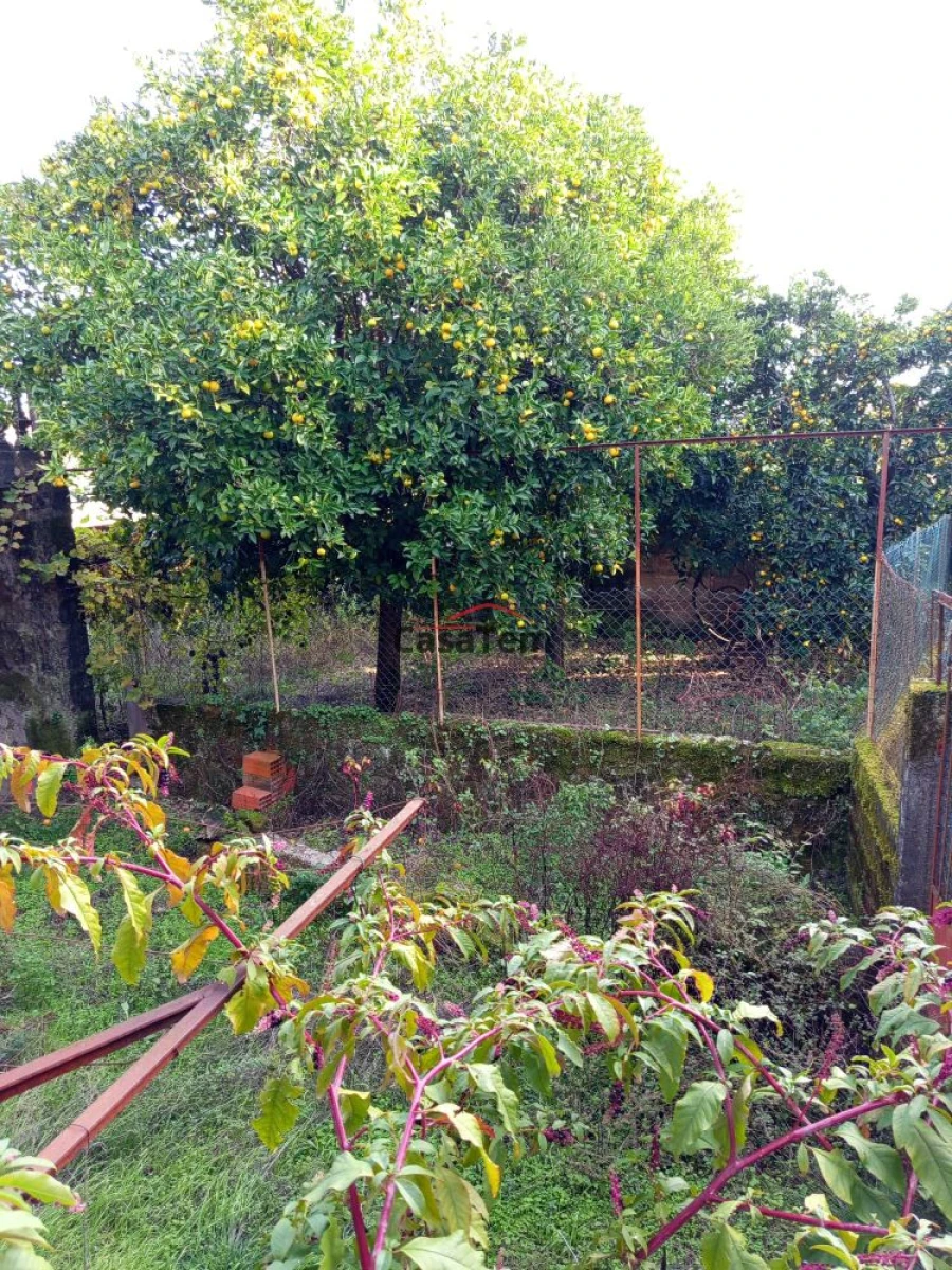 Moradia T0 para Venda em Santar e Moreira Foto 4