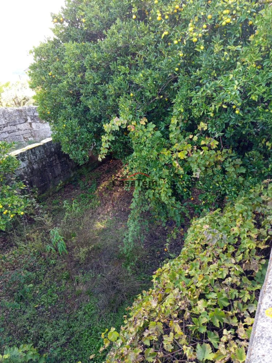 Moradia T0 para Venda em Santar e Moreira Foto 2