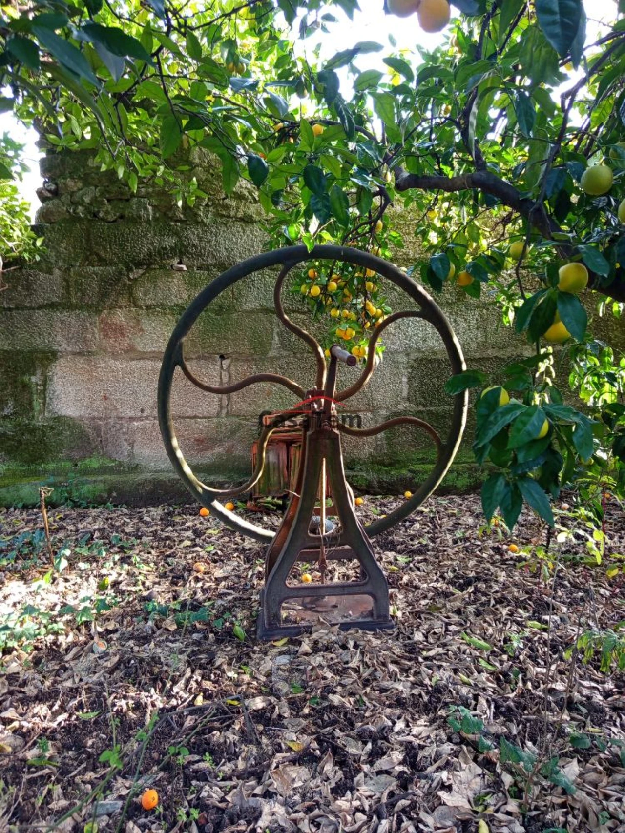 Moradia T0 para Venda em Santar e Moreira Foto 18