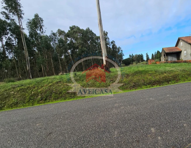 Terreno para Venda em Oliveirinha Foto 2