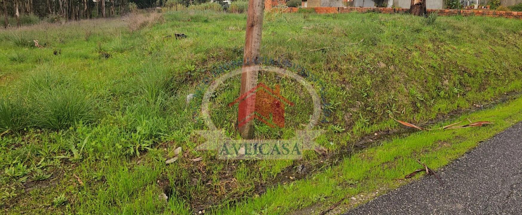 Terreno para Venda em Oliveirinha Foto 4