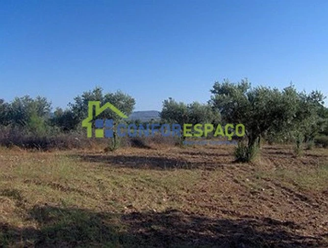 Terreno para Venda em Freixial e Juncal do Campo Foto 2
