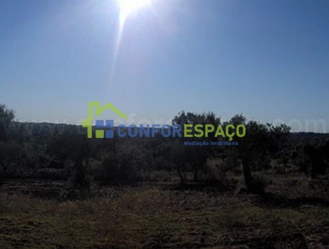 Terreno para Venda em Freixial e Juncal do Campo Foto 1