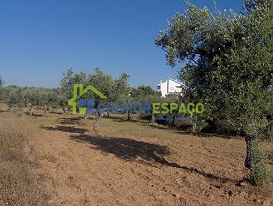 Terreno para Venda em Freixial e Juncal do Campo Foto 7