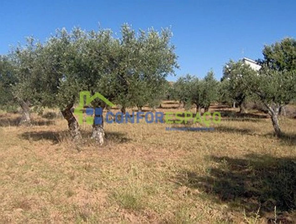 Terreno para Venda em Freixial e Juncal do Campo Foto 4