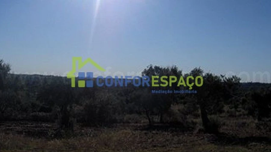 Terreno para Venda em Freixial e Juncal do Campo