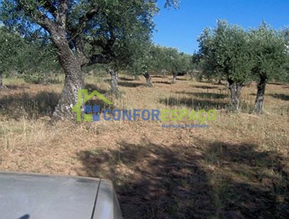 Terreno para Venda em Freixial e Juncal do Campo Foto 5