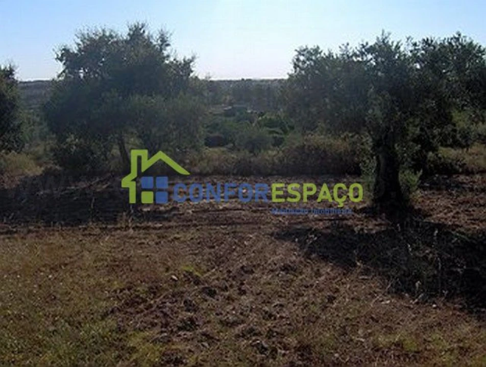 Terreno para Venda em Freixial e Juncal do Campo Foto 6