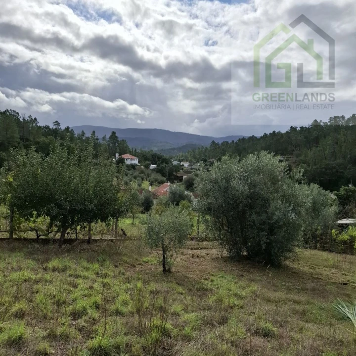 Moradia T2 para Venda em Pombeiro da Beira Foto 18