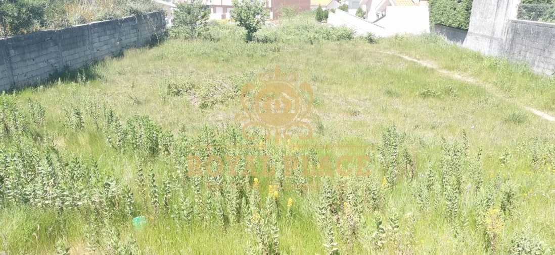 Terreno para Venda em São João de Ver Foto 2