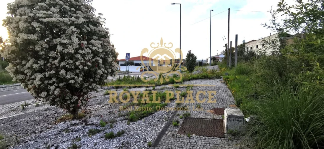 Terreno para Venda em Nogueira da Regedoura Foto 8