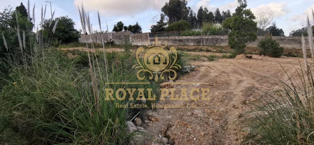 Terreno para Venda em Nogueira da Regedoura Foto 5