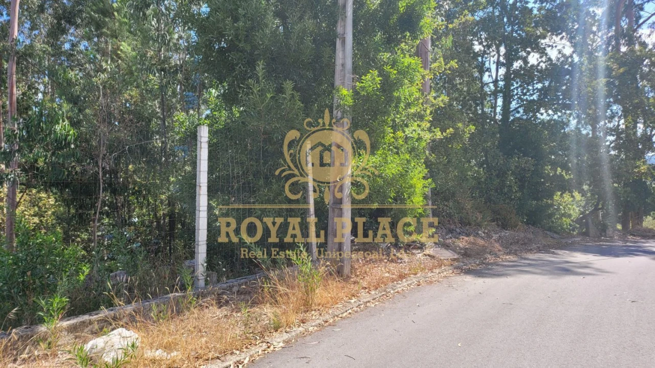 Terreno para Venda em Sanguedo Foto 3