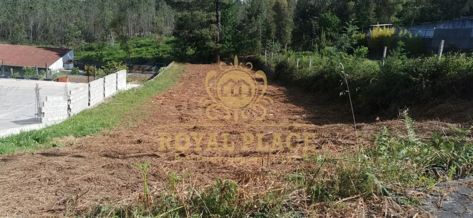 Terreno para Venda em Canedo, Vale e Vila Maior Foto 8