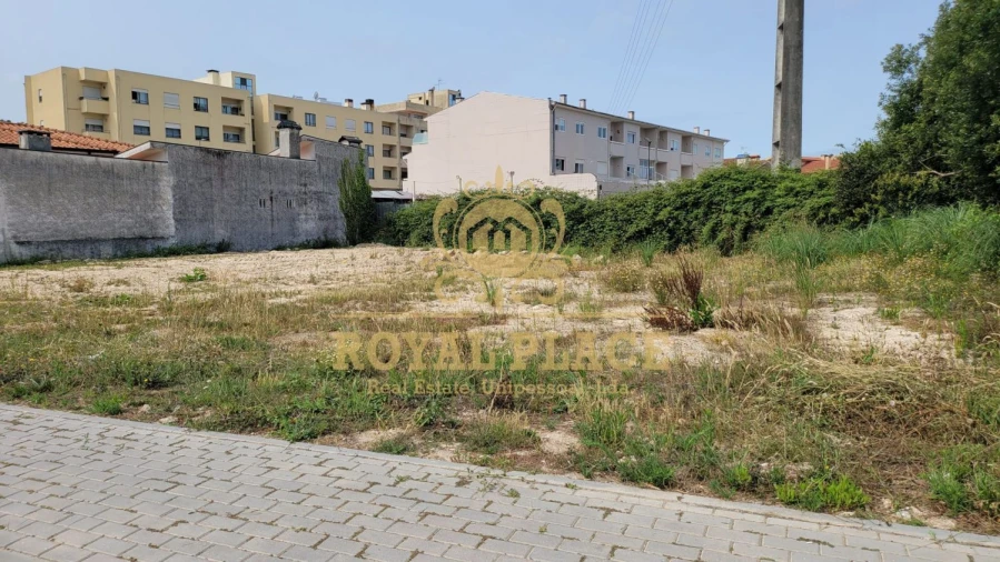 Terreno para Venda em Santa Maria de Lamas Foto 4