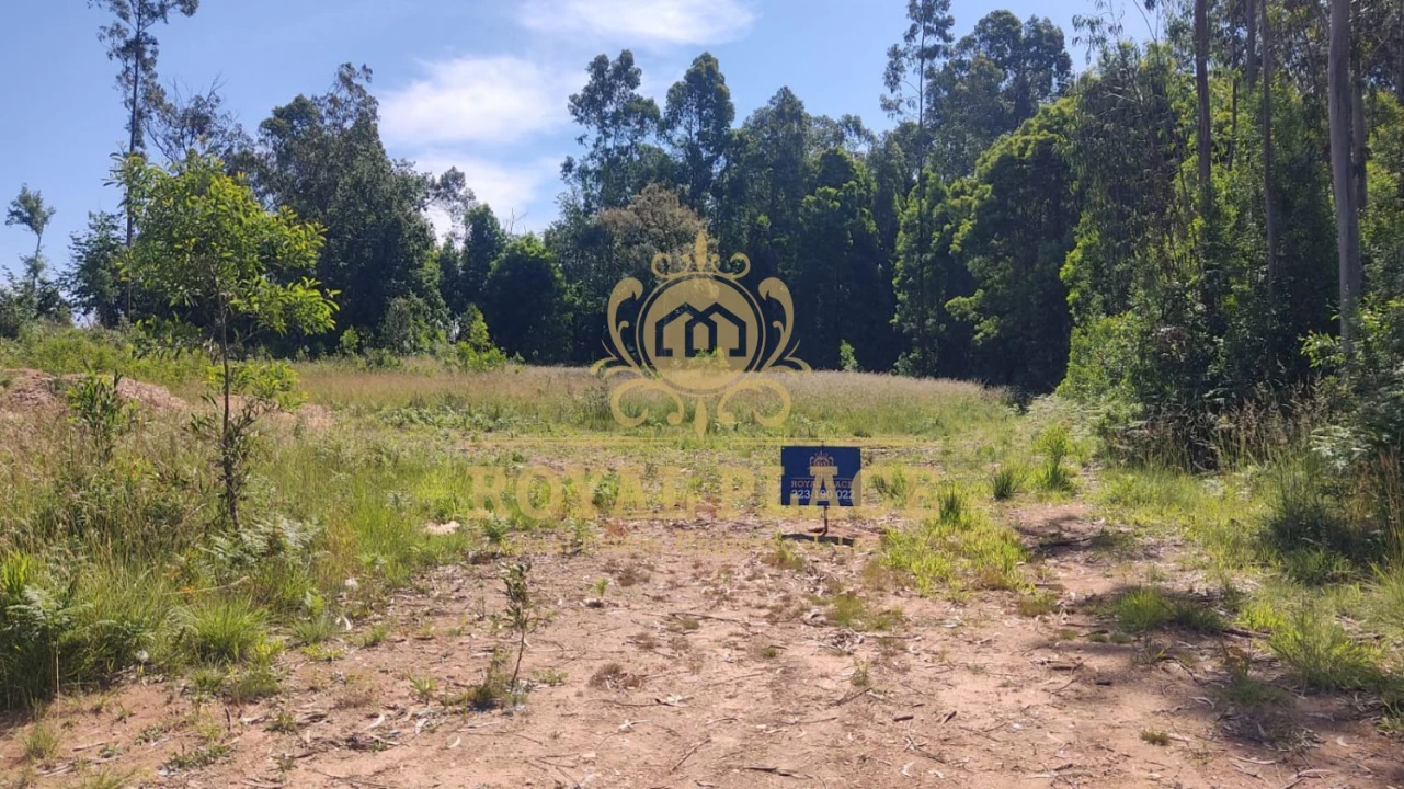 Terreno para Venda em São Miguel do Souto e Mosteirô Foto 6