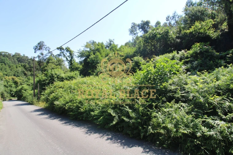 Terreno para Venda em Avintes