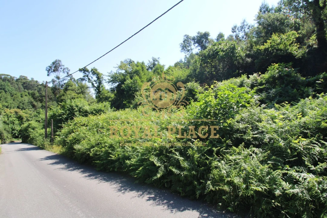 Terreno para Venda em Avintes Foto 4