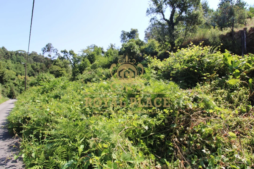 Terreno para Venda em Avintes Foto 3