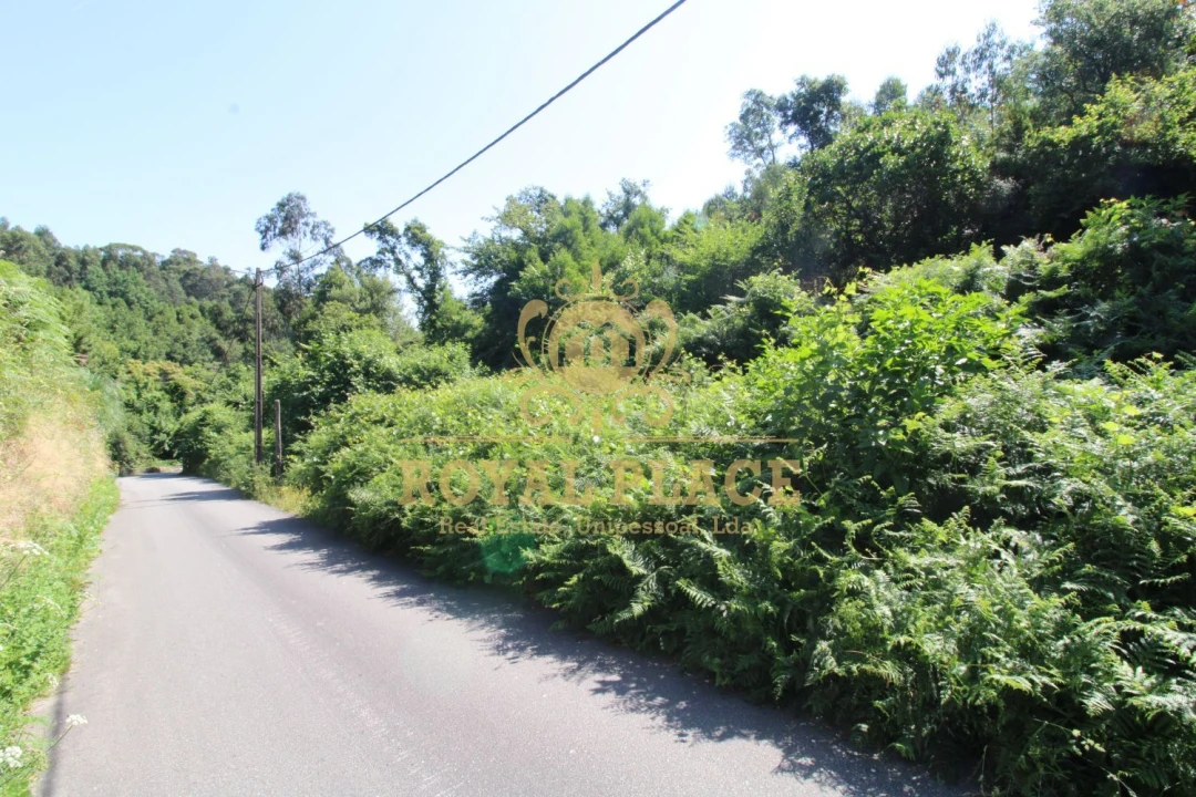 Terreno para Venda em Avintes Foto 7