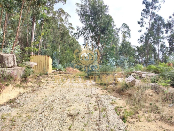 Terreno para Venda em Lobão, Gião, Louredo e Guisande Foto 5