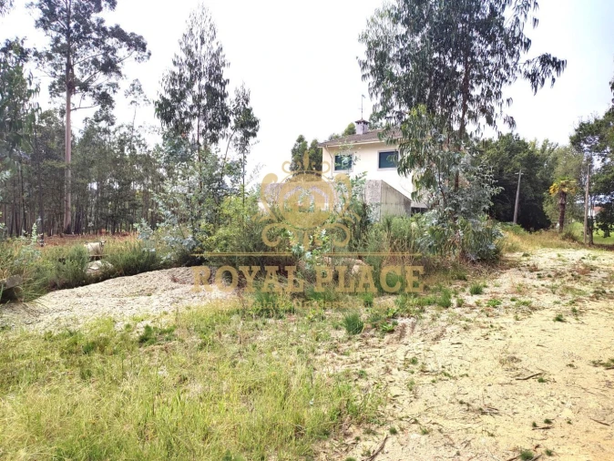 Terreno para Venda em Lobão, Gião, Louredo e Guisande Foto 3