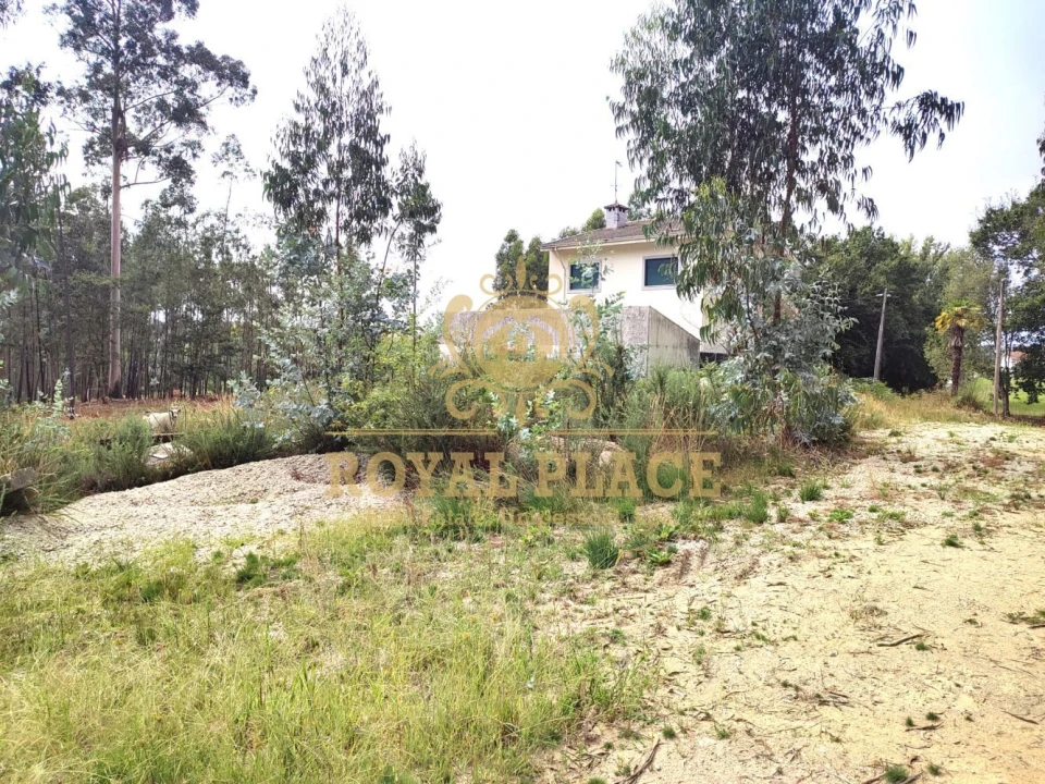 Terreno para Venda em Lobão, Gião, Louredo e Guisande Foto 3