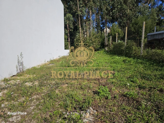 Terreno para Venda em Lobão, Gião, Louredo e Guisande Foto 4