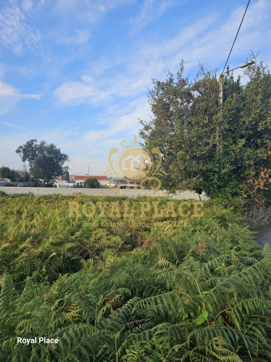 Terreno para Venda em Lourosa Foto 8