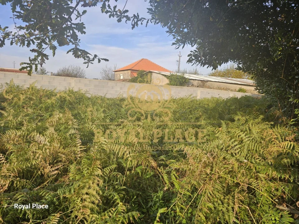 Terreno para Venda em Lourosa Foto 5