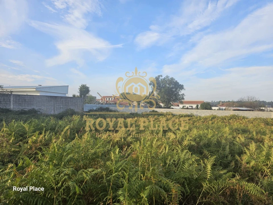 Terreno para Venda em Lourosa Foto 3