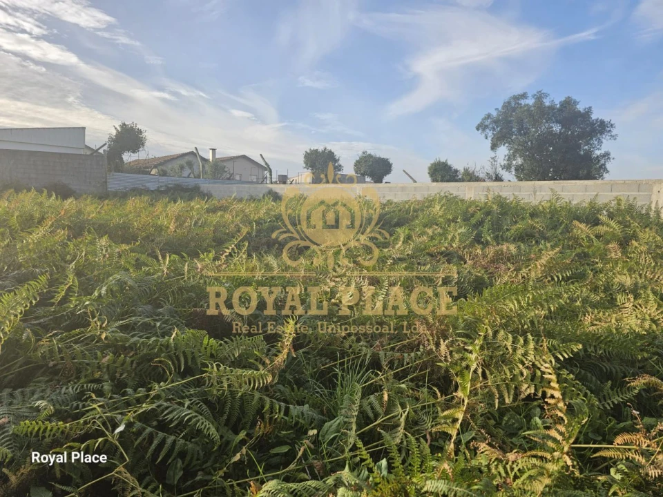 Terreno para Venda em Lourosa Foto 6