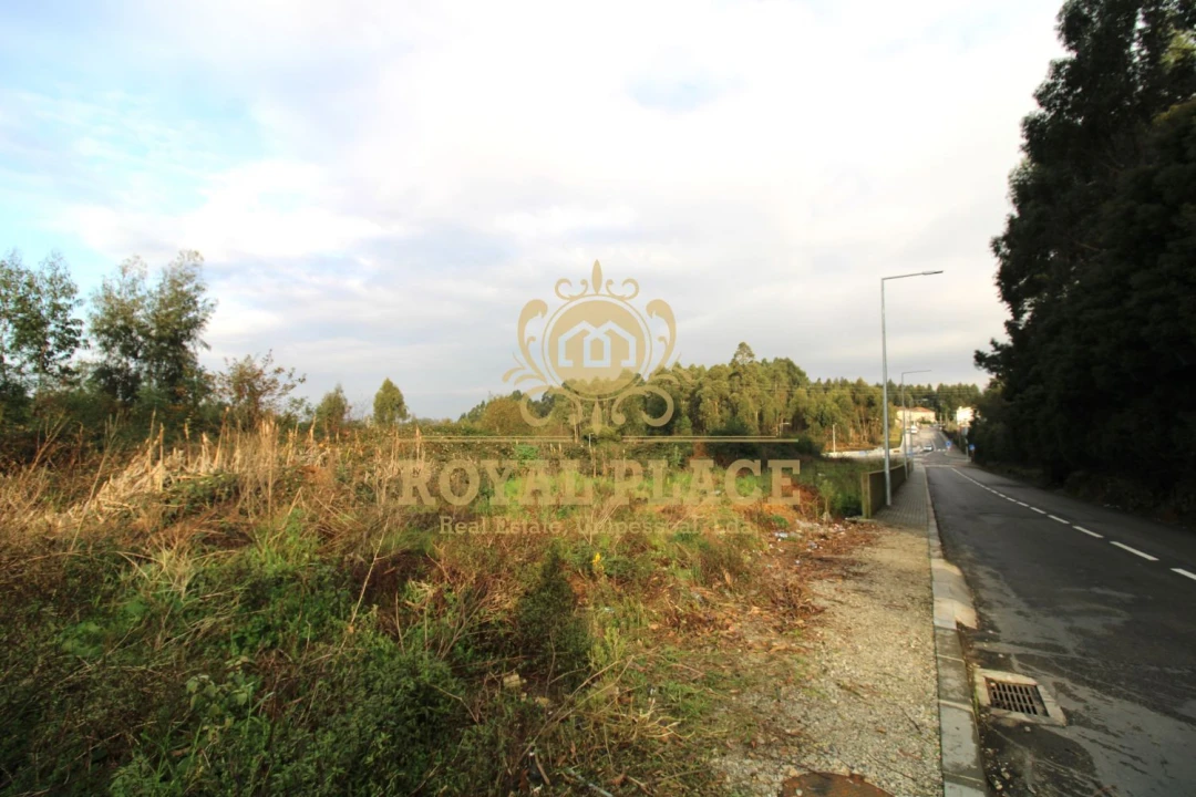 Terreno para Venda em Sanguedo Foto 6