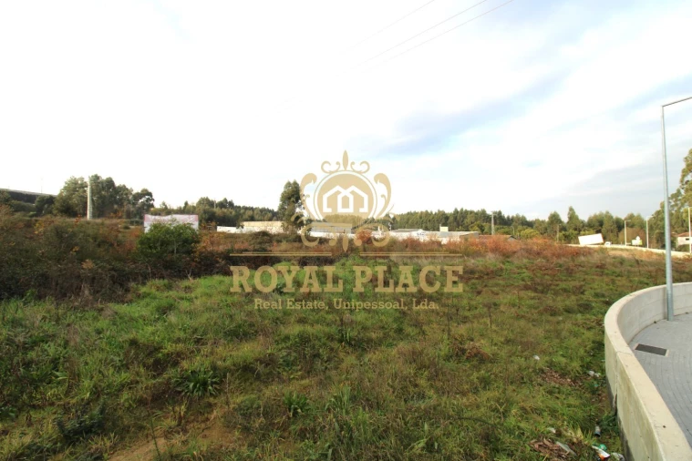 Terreno para Venda em Sanguedo Foto 9