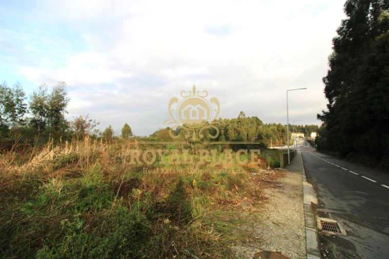 Terreno para Venda em Sanguedo Foto 6